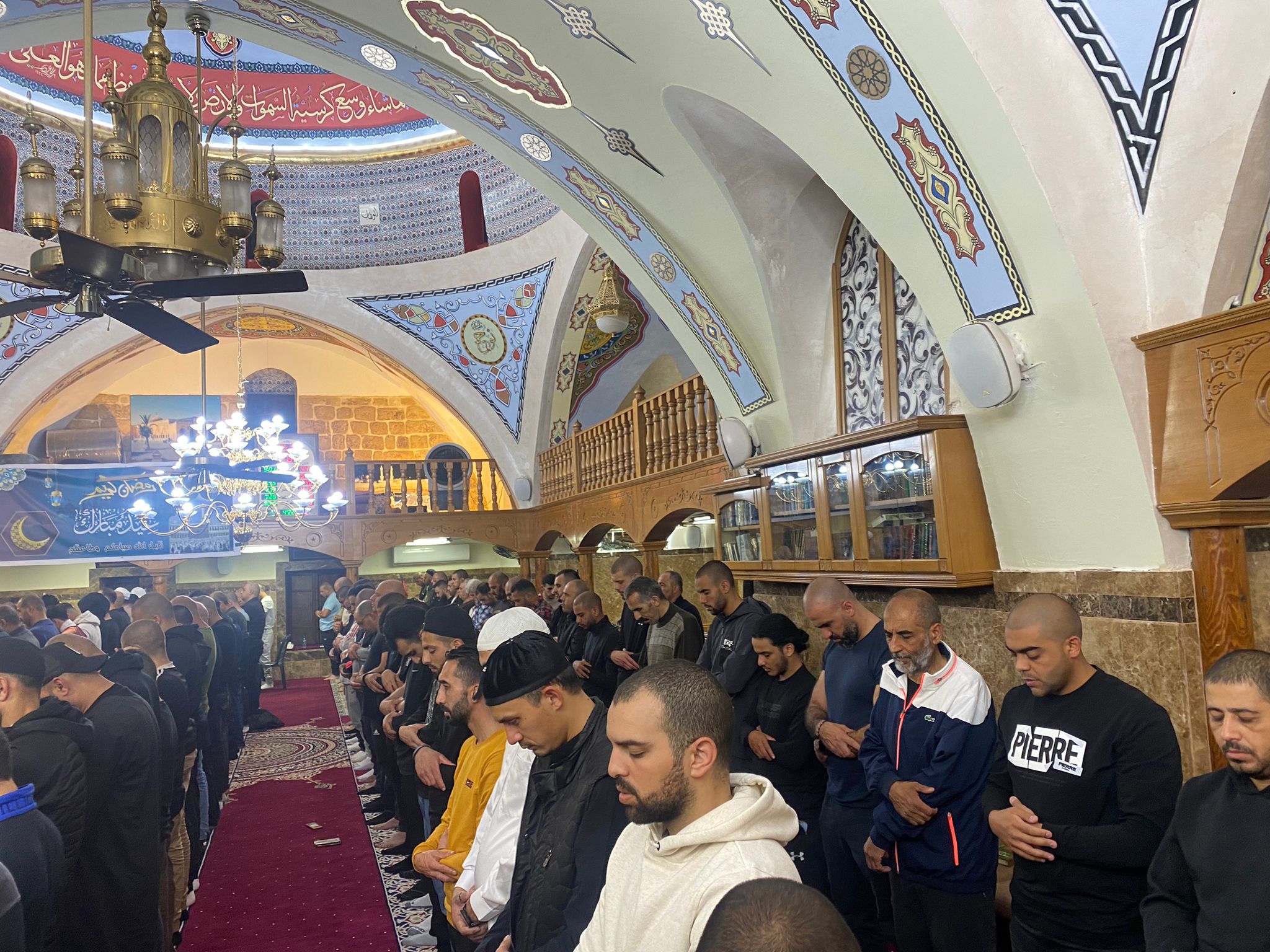 WhatsApp Image 2023-04-18 at 12.46.44 AM (1).jpeg